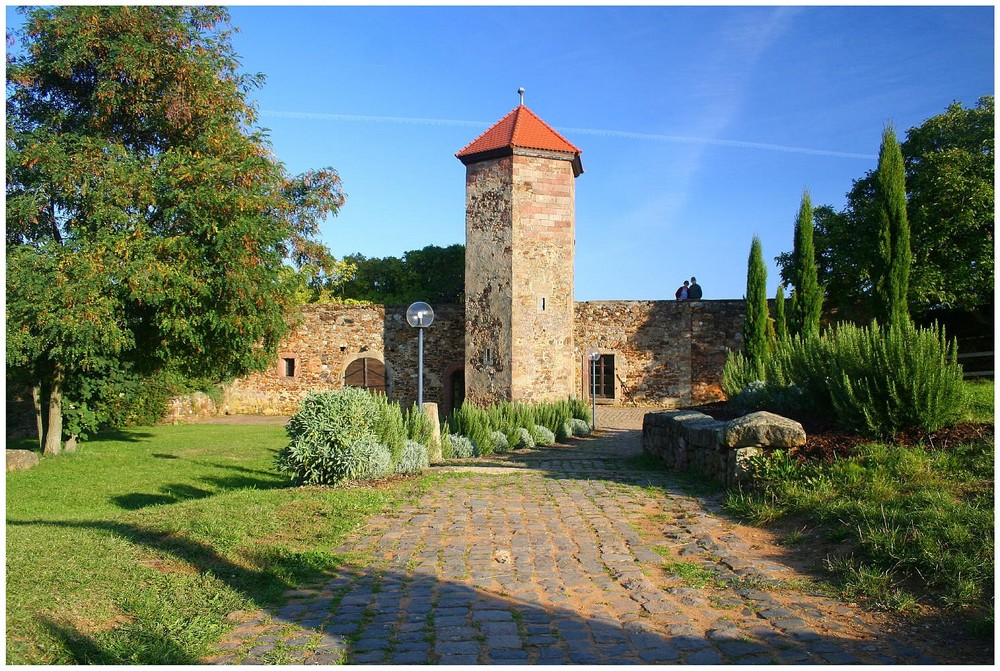 2014 Fahrradtour Burg-Battenberg